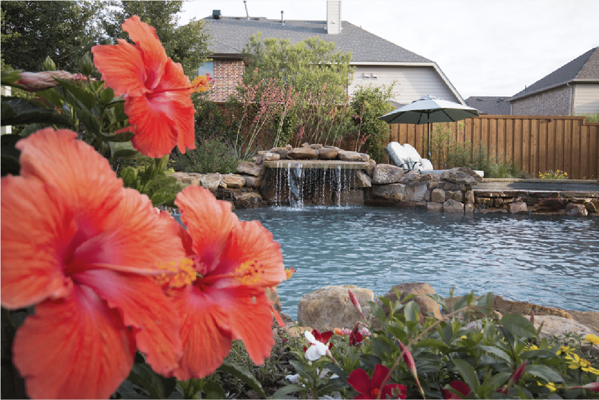 Freeform pool with rocks.